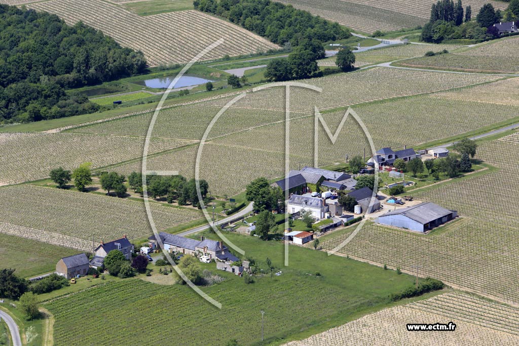 Photo arienne de Faye-d'Anjou (la Pinsonnerie)