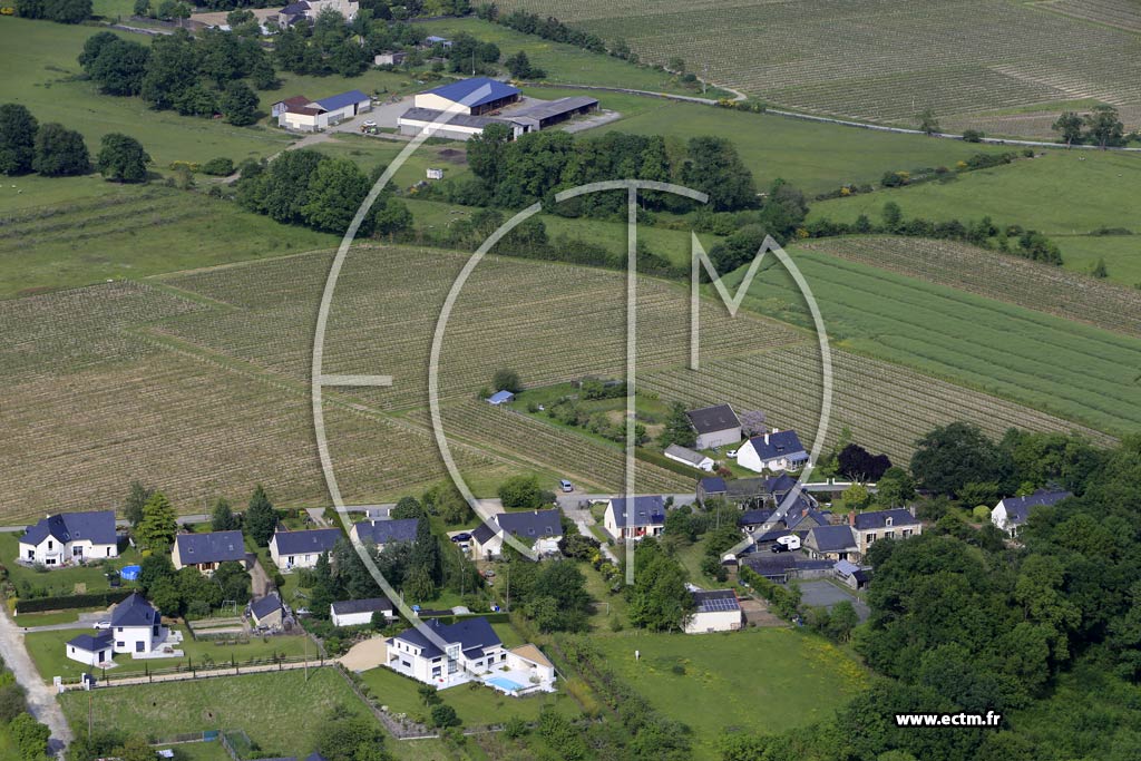 Photo arienne de Juign-sur-Loire (Martigneau)