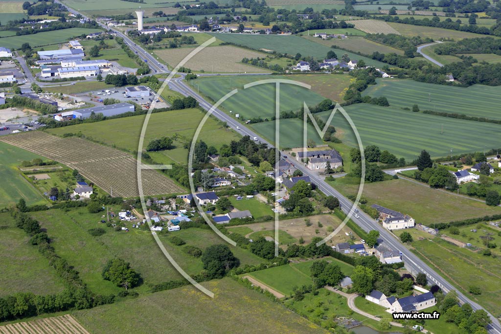 Photo arienne de Moz-sur-Louet (les Humeaux)