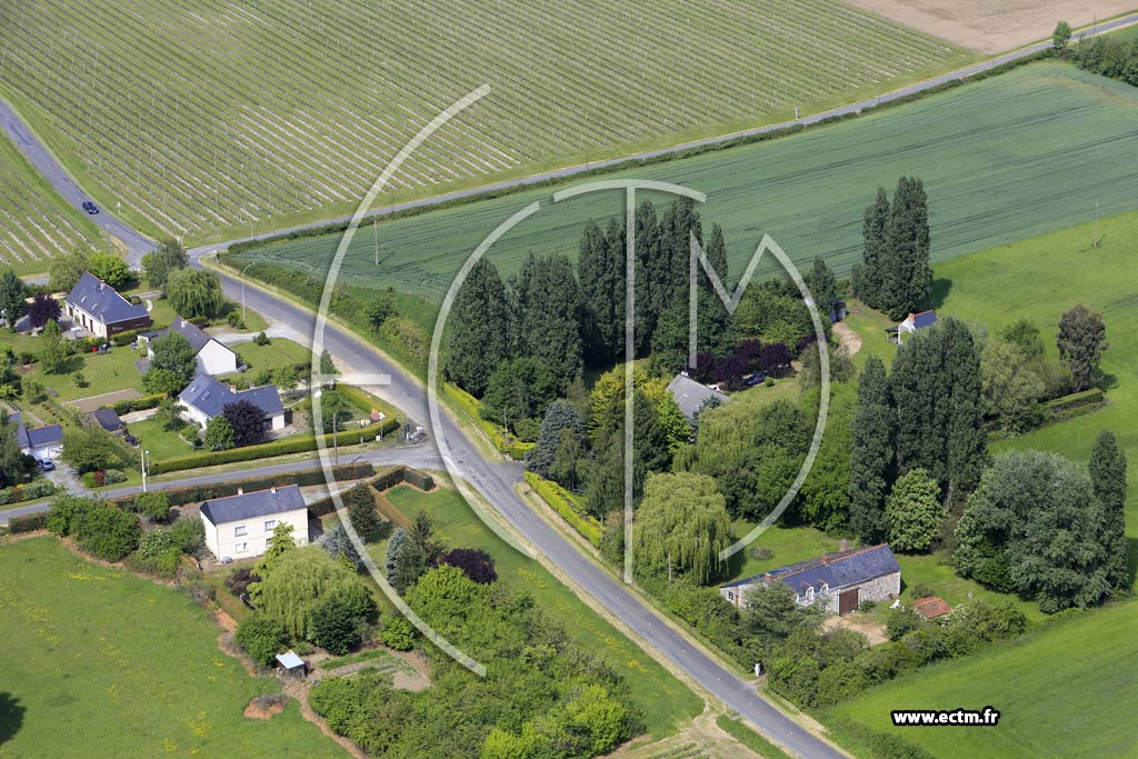 Photo arienne de Saint-Saturnin-sur-Loire (la Pture aux Boeufs)