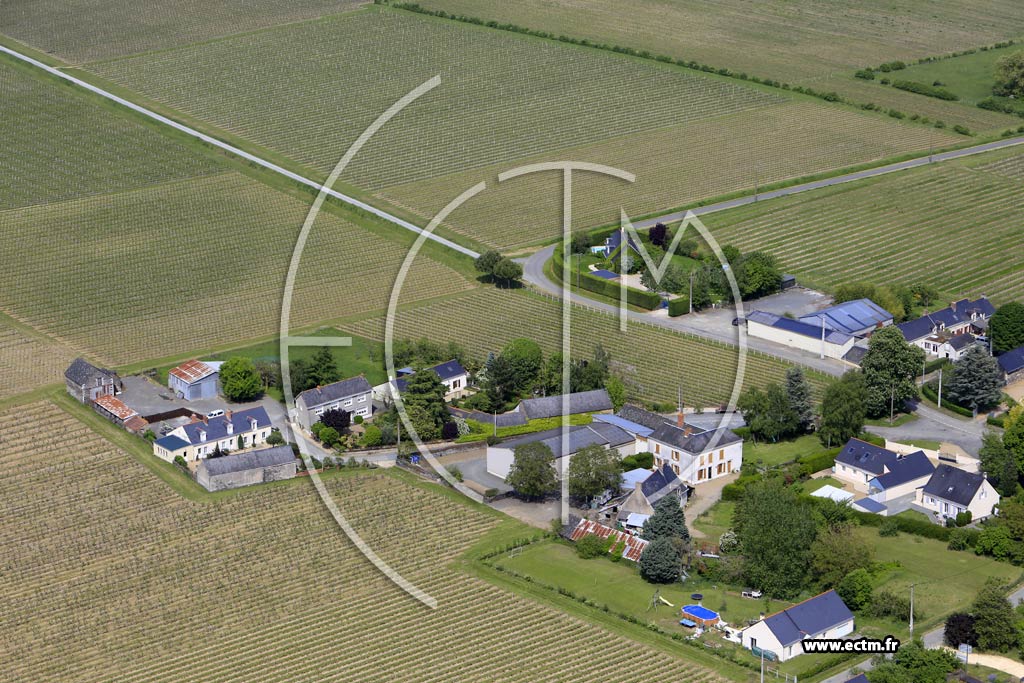 Photo arienne de Saint-Saturnin-sur-Loire (le Clos du Chne)