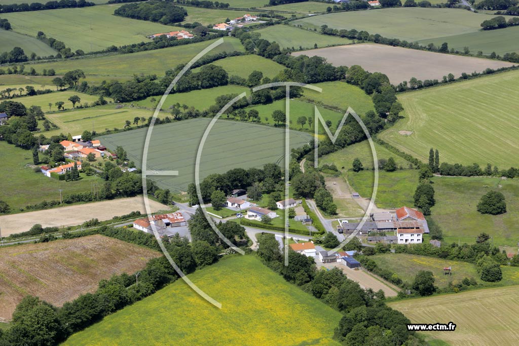 Photo arienne de Saint-Pre-en-Retz (la Baraudire)