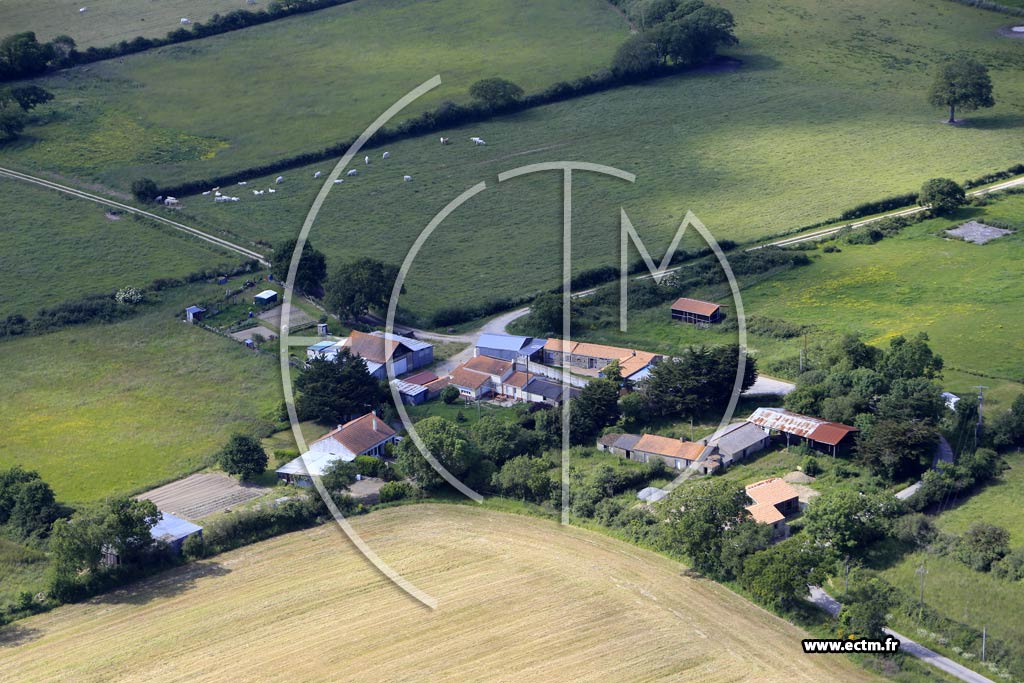 Photo arienne de Saint-Pre-en-Retz (la Riollais)