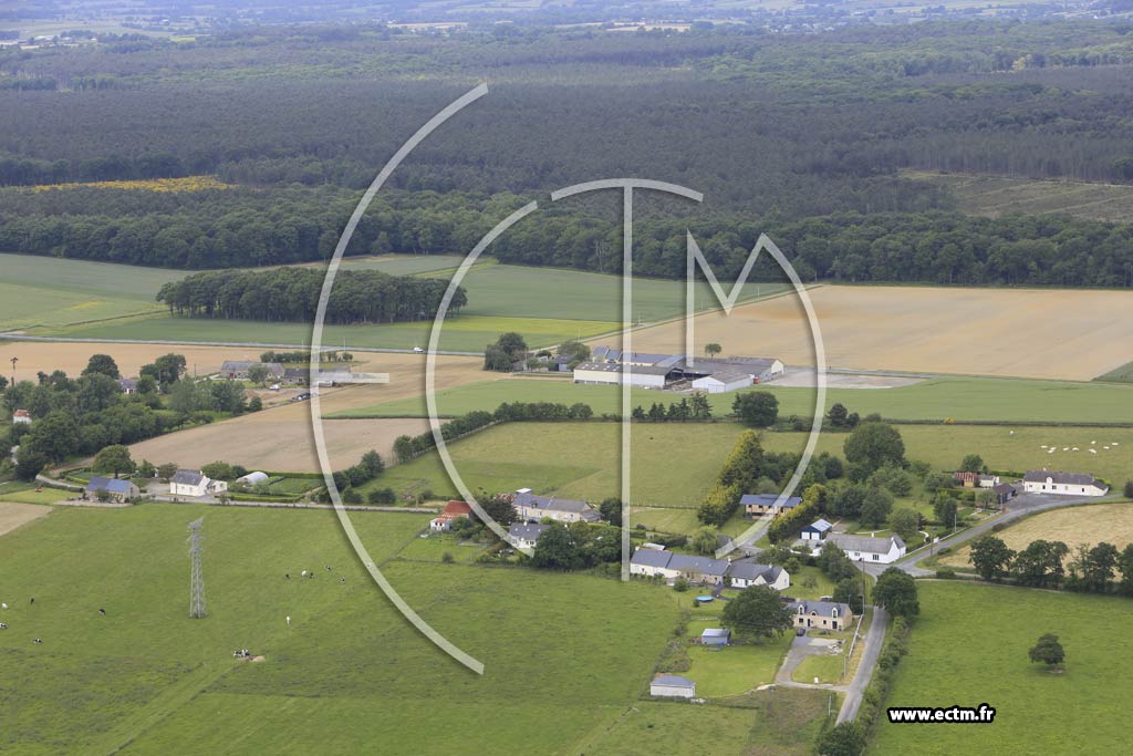Photo arienne de Saint-Vincent-des-Landes (la Boeufferie)