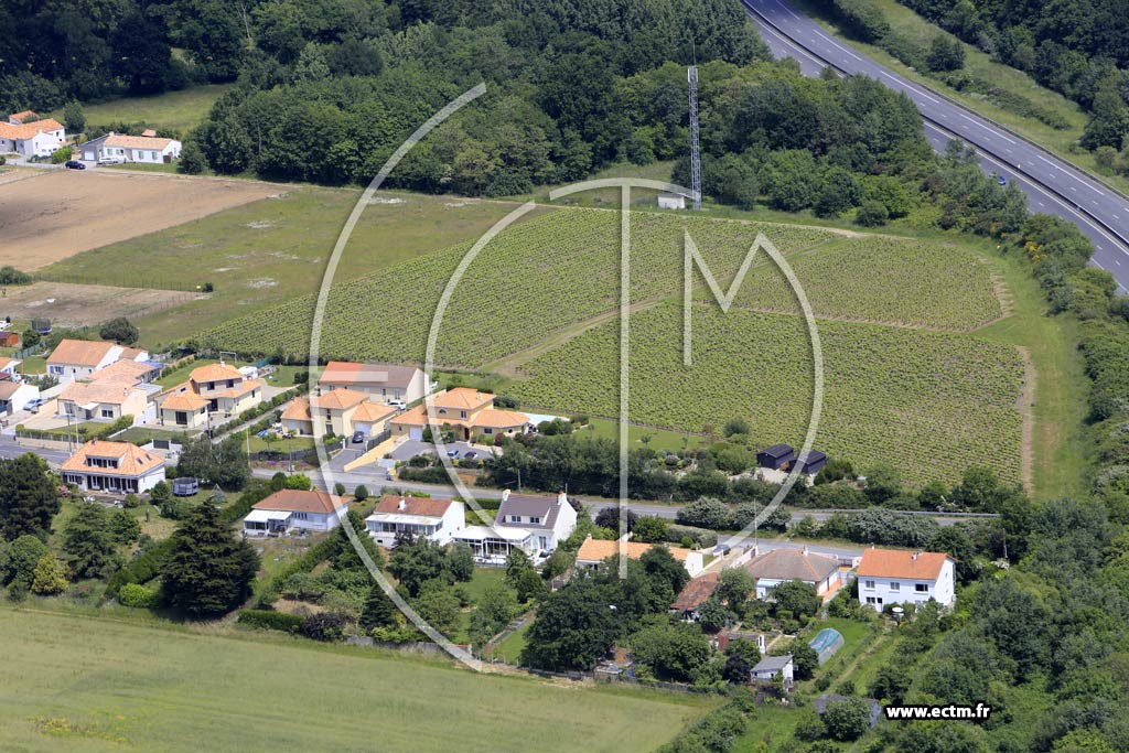 Photo arienne de Saint-Lger-les-Vignes (la Chausserie)