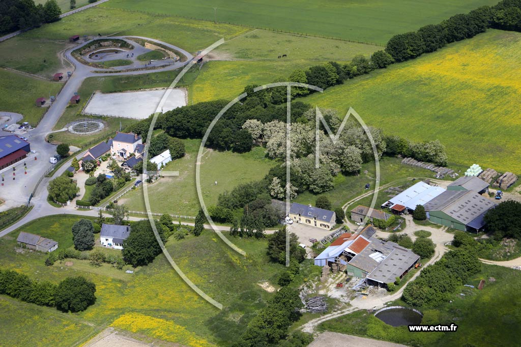 Photo arienne de Sainte-Reine-de-Bretagne (la Marronnire - le Guerveau)