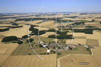 Photos de Cerisiers (les Thorets)