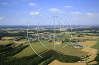6781 Slange - photo - Slange