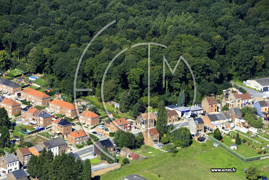 Photo arienne de Tamines (Nord)
