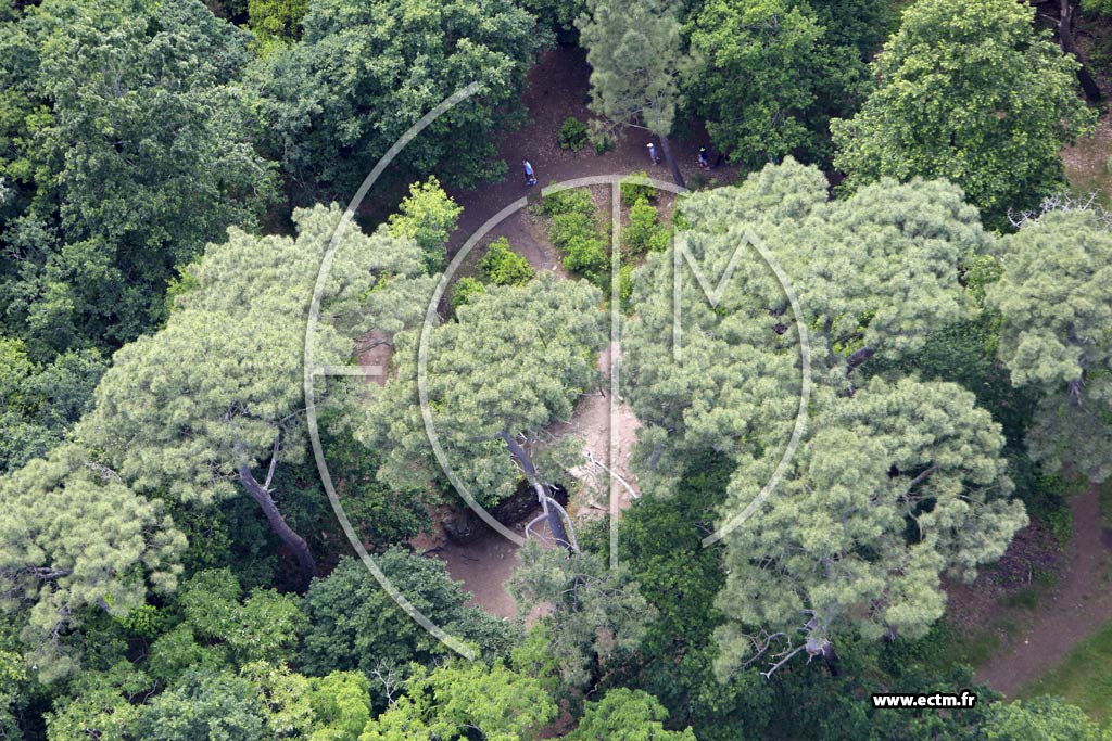 Photo arienne de Carnac (Tumulus de Kercado)