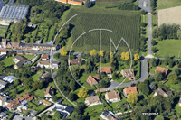 Photos de Neuville-en-Ferrain (le Labyrinthe)