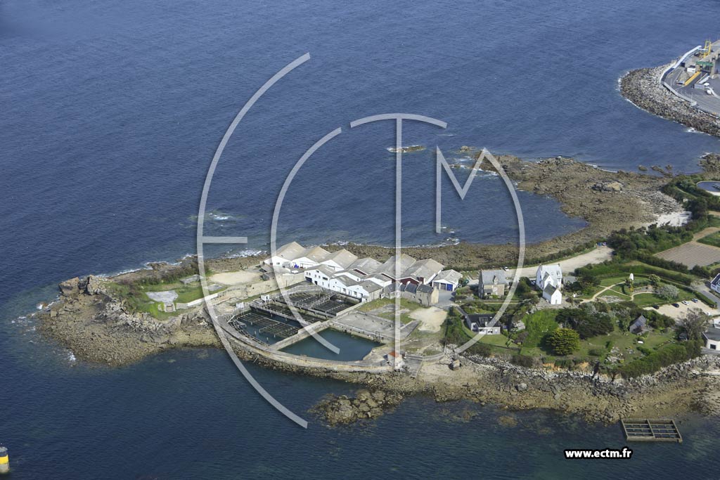 Photo arienne de Roscoff (Kerhoulaouen)