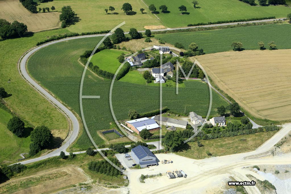 Photo arienne de Saint-Aubin-des-Landes (les Plessis)
