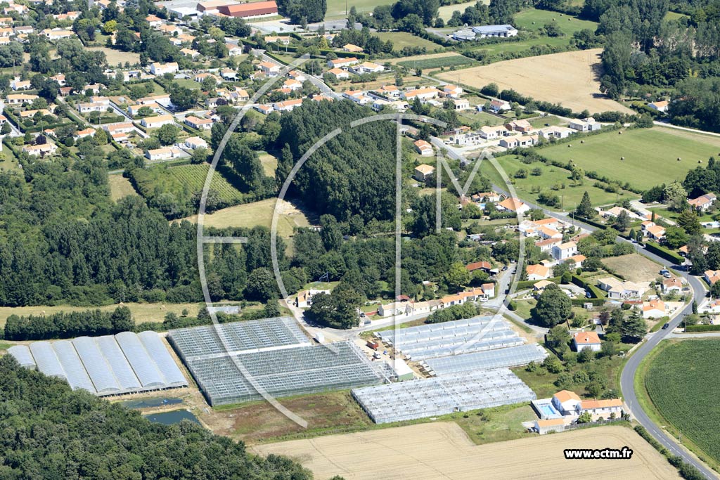 Photo arienne de Commequiers (la Brigassire)