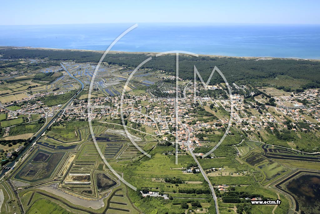 Photo arienne de Olonne-sur-Mer (Champclou)