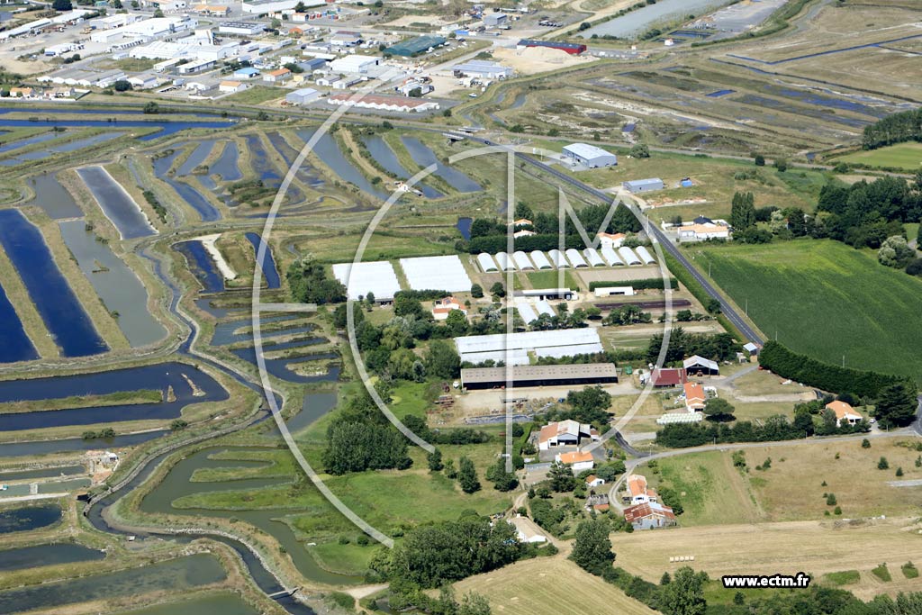 Photo arienne de Saint-Hilaire-de-Riez (Beaulieu)