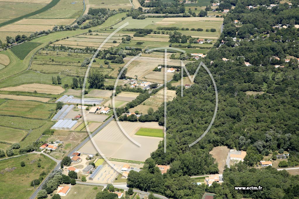 Photo arienne de Saint-Hilaire-de-Riez (Bourrine du Bois Jucaud)
