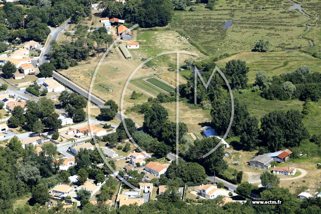 Photo arienne de Saint-Hilaire-de-Riez (le Bois Rortheau)