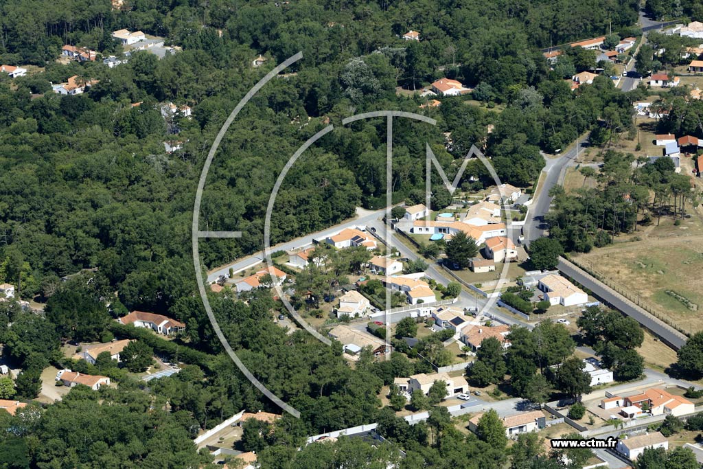 Photo arienne de Saint-Hilaire-de-Riez (le Bois Rortheau)