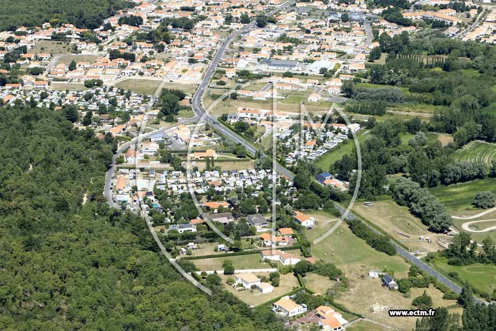 Photo arienne de Saint-Jean-de-Monts (le Petit Bois - la Fort)