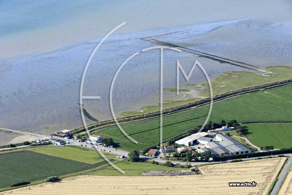 Photo arienne de Beauvoir-sur-Mer (Bellevue)