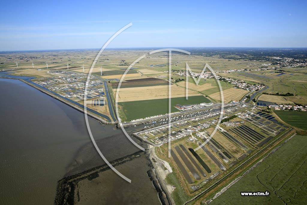 Photo arienne de Bouin (Polders du Dain)
