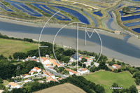 Photos de Le Fenouiller (le Plessis)