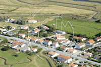Photos de Bouin (l'poids)