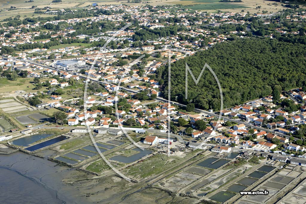 Photo arienne de La Barre-de-Monts (la Pointe)