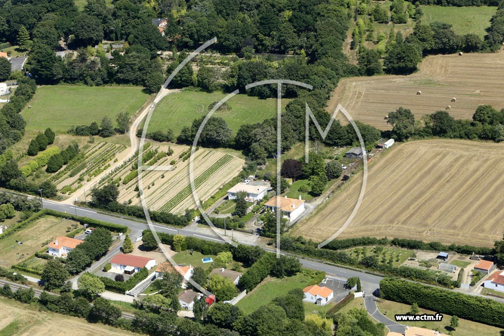 Photo arienne de La Garnache (le Petit Thouzet)