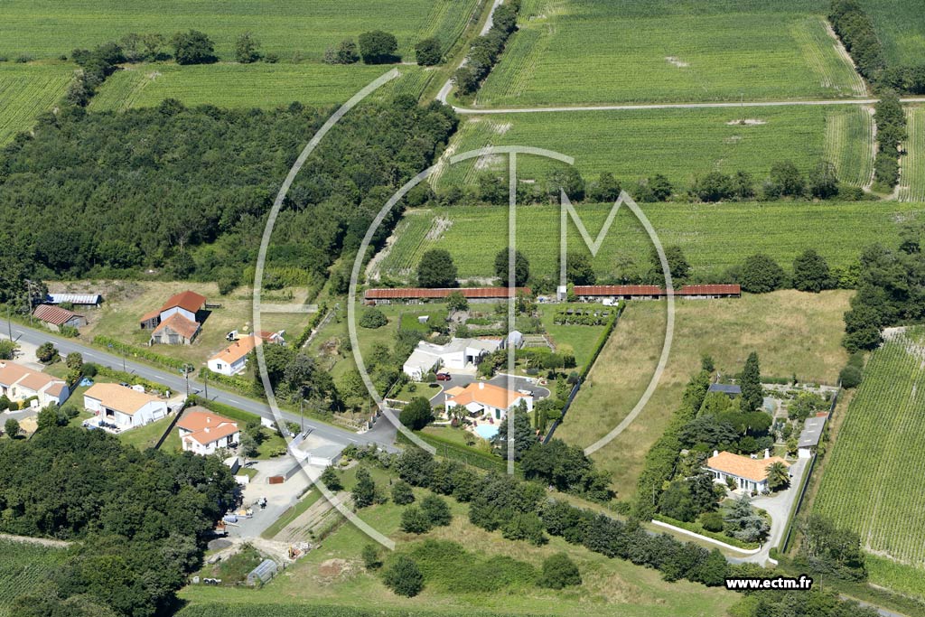 Photo arienne de La Garnache (le Plateau de la Juchepie)