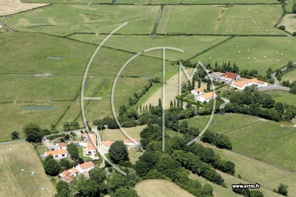 Photo arienne de Le Perrier (les Ormeaux)