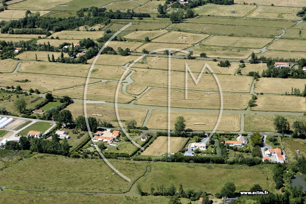 Photo arienne de Le Perrier (les Pointes)