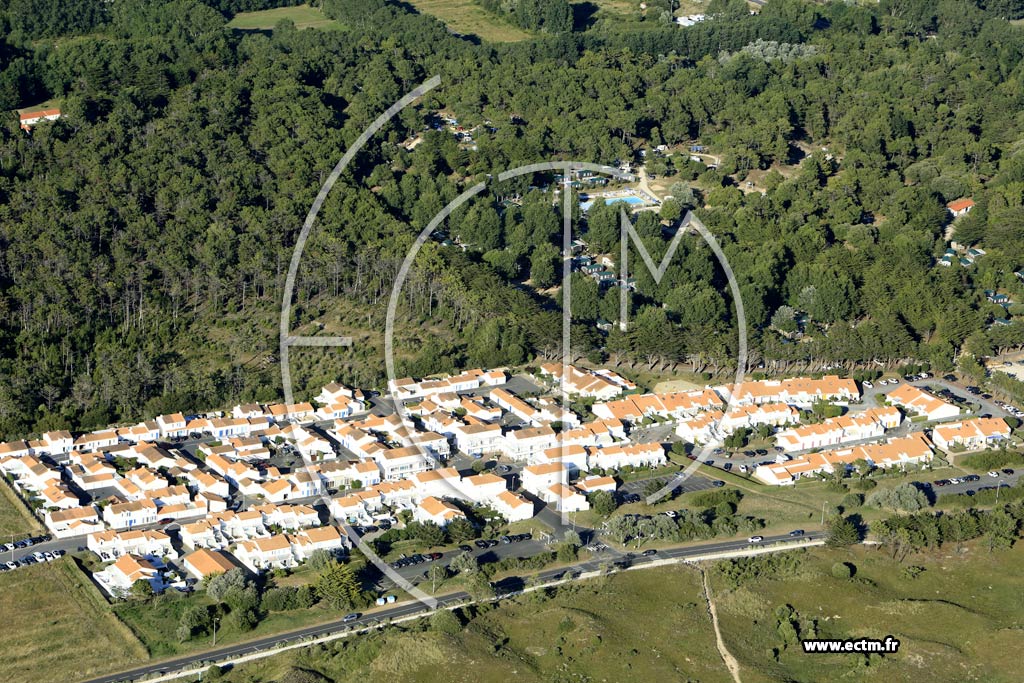 Photo arienne de Saint-Hilaire-de-Riez (les Demoiselles)