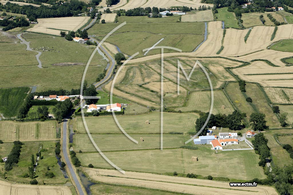 Photo arienne de Saint-Jean-de-Monts (Chemin du Cavoleau - la Fontourdine)
