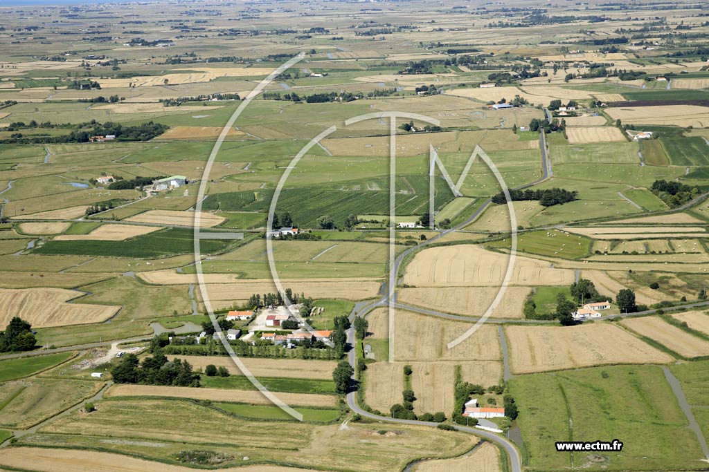 Photo arienne de Saint-Jean-de-Monts (le Rompy Marais - les Grandes Rouchres)