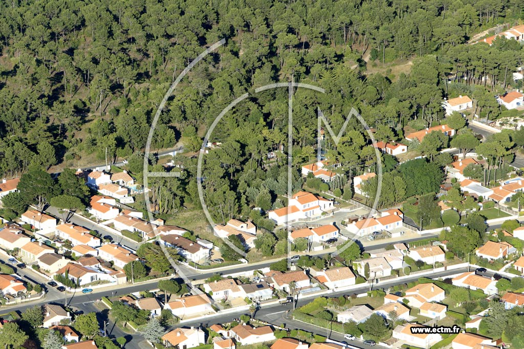 Photo arienne de Saint-Jean-de-Monts (le Rozeau Gaillard)