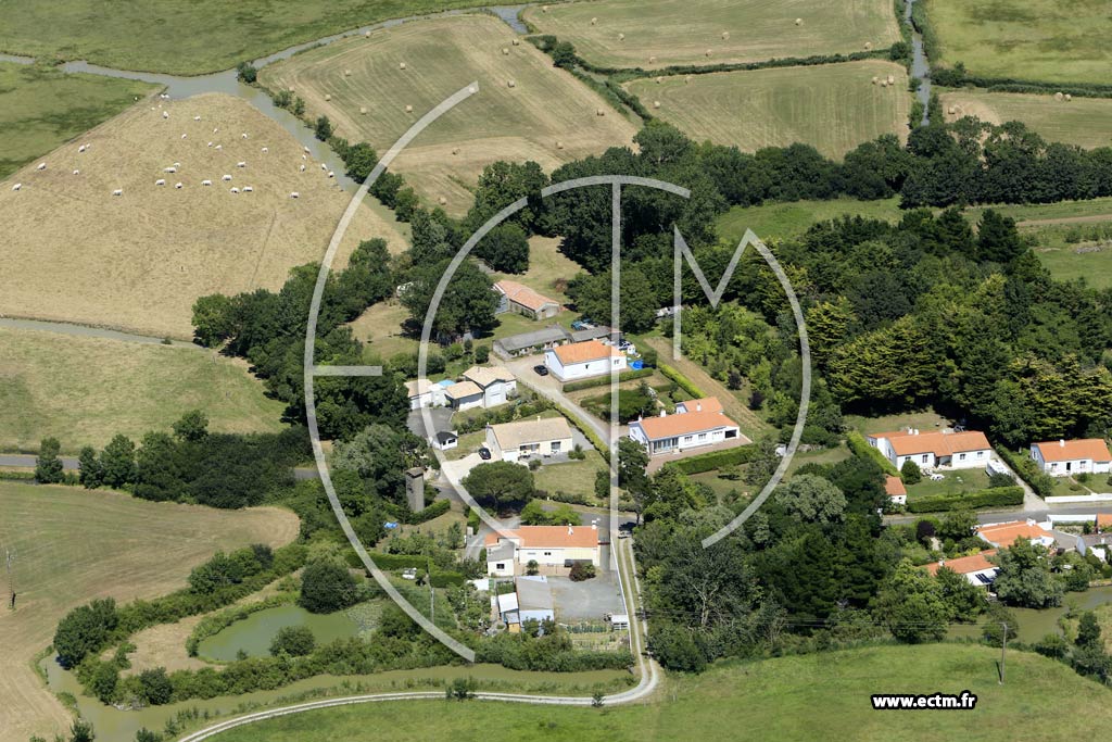 Photo arienne de Sallertaine (Fief de la Villatte)