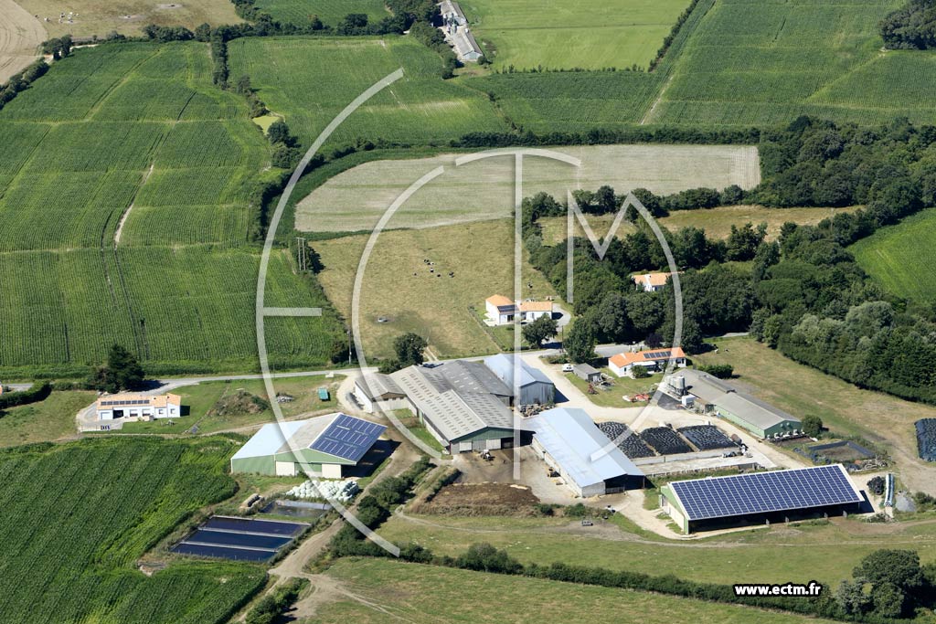 Photo arienne de Sallertaine (la Croix Savary)