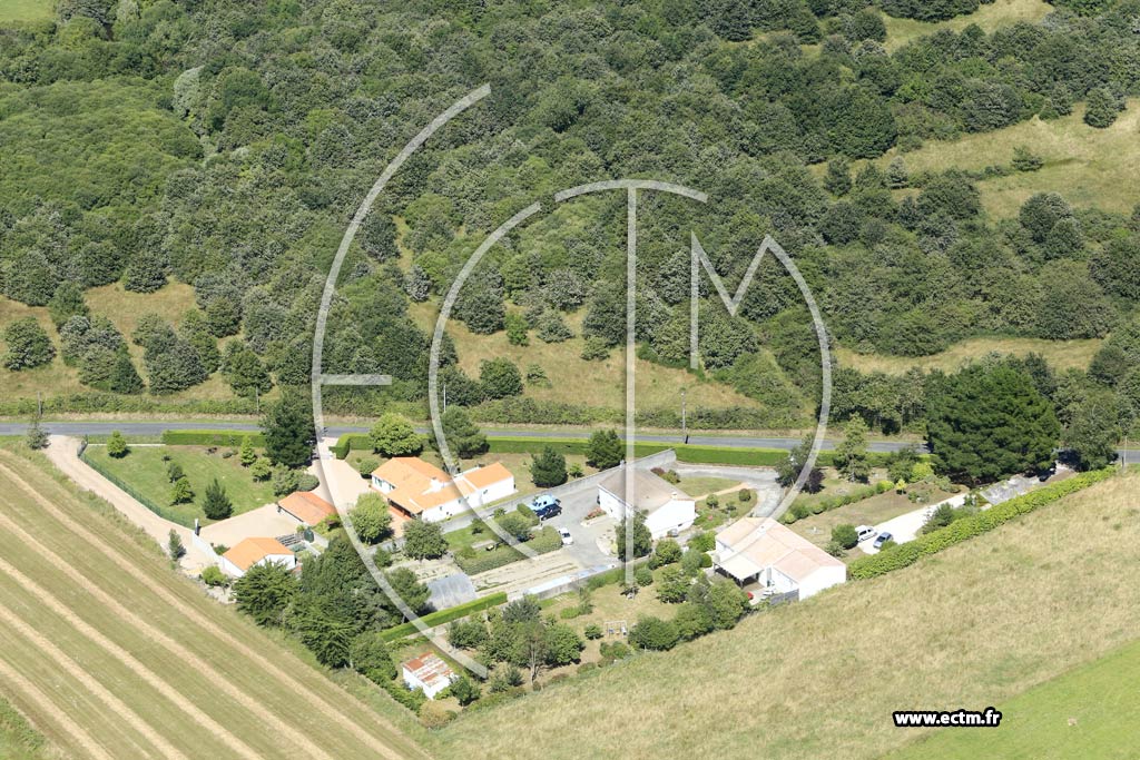 Photo arienne de Sallertaine (la Vigne Pointue)