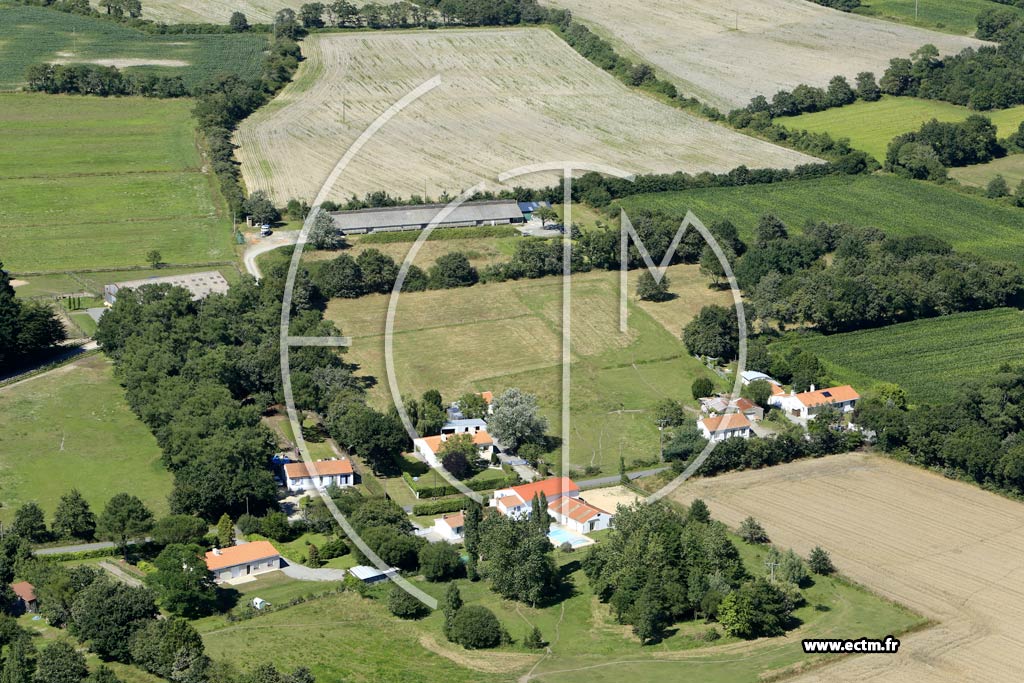 Photo arienne de Sallertaine (les Sauzes)