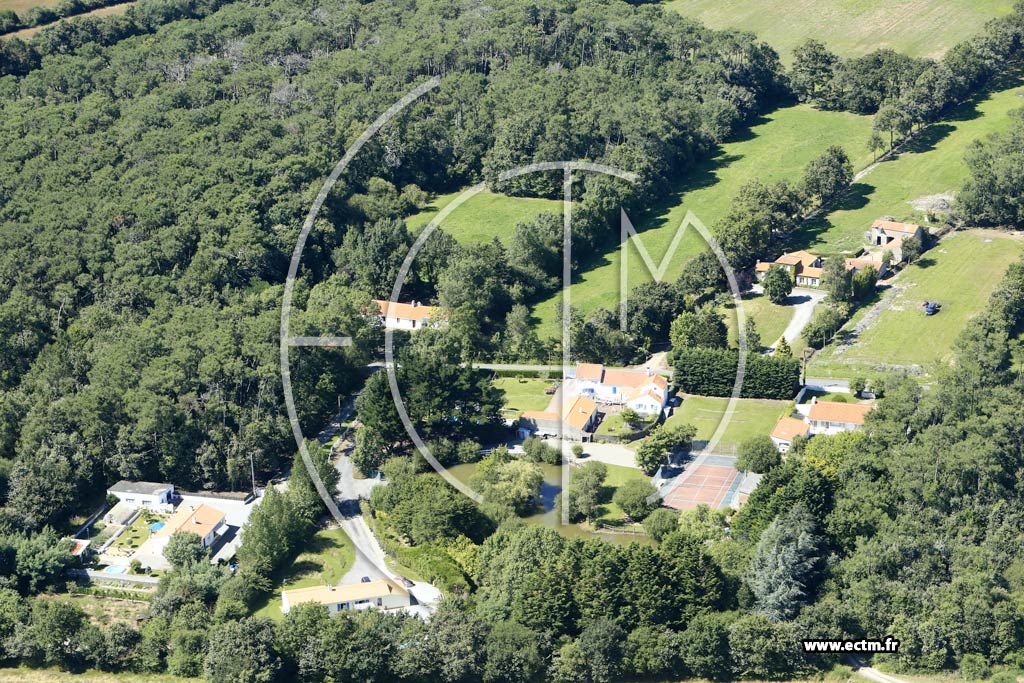 Photo arienne de Sallertaine (les Sauzes)