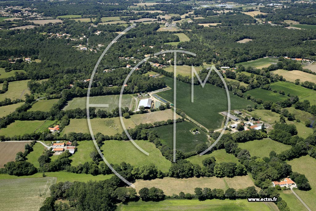 Photo arienne de Soullans (la Planche aux Pas)
