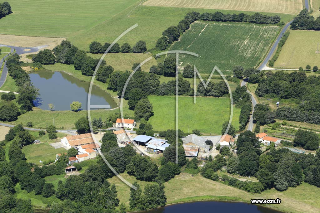 Photo arienne de Le Poir-sur-Vie (l'Idonnire)