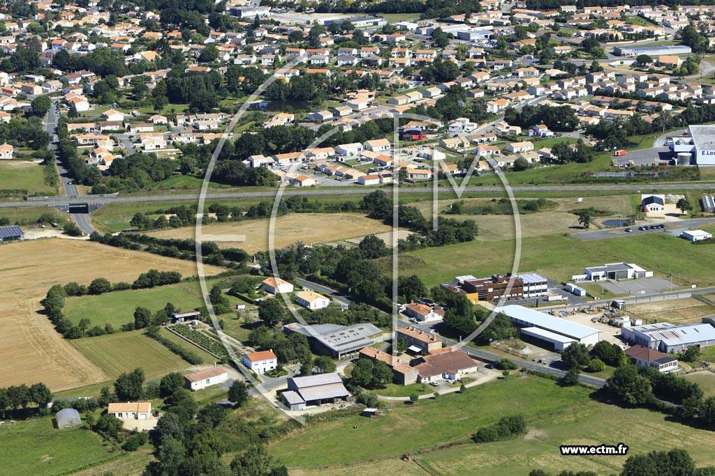 Photo arienne de Le Poir-sur-Vie (la Gendronnire)