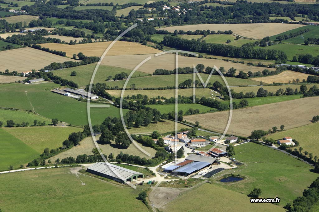 Photo arienne de Le Poir-sur-Vie (la Trire)