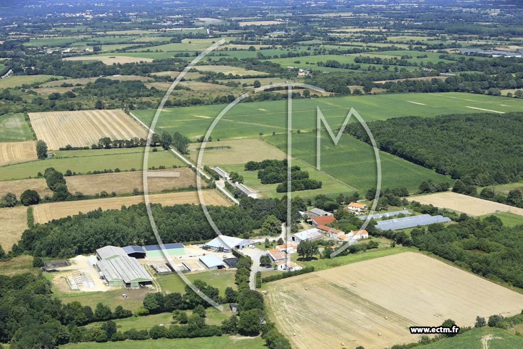 Photo arienne de Saint-Christophe-du-Ligneron (la Belletire)
