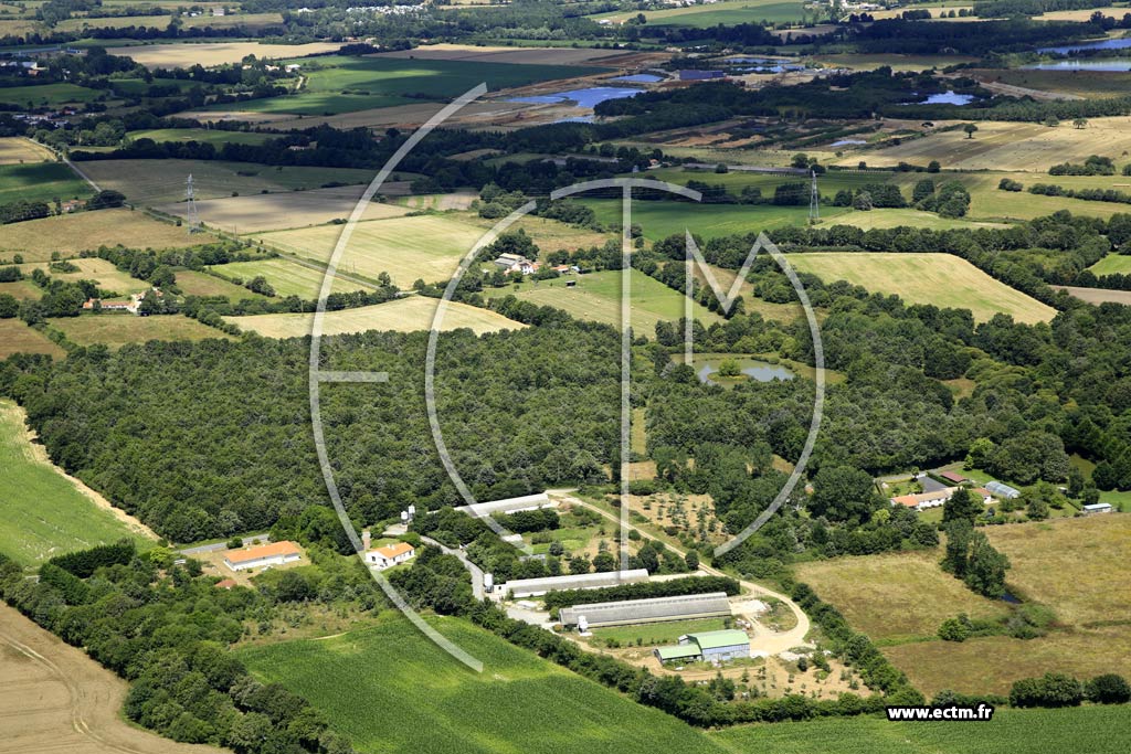 Photo arienne de Saint-Christophe-du-Ligneron (le Petit Fileau)