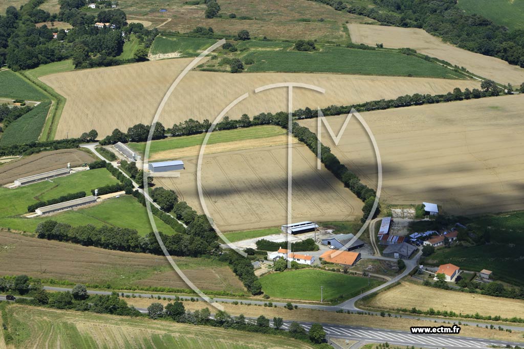 Photo arienne de Saint-Christophe-du-Ligneron (le Pouillet)