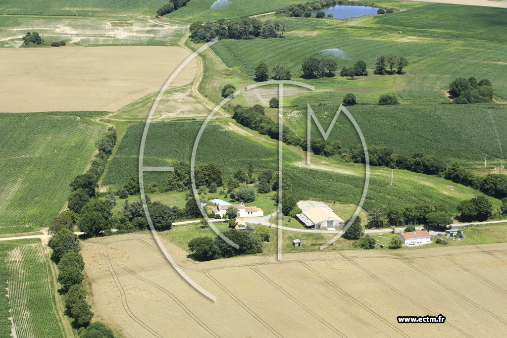 Photo arienne de Saint-Christophe-du-Ligneron (les Paudries)